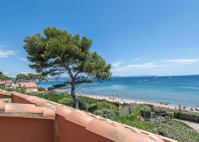 Les Pieds Dans L Eau