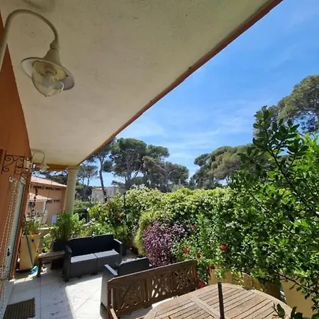 Les Pieds Dans L Eau Appartement